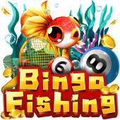 Câu Cá Bingo - Kuvin Nohu